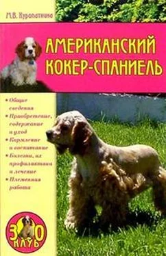 Марина Куропаткина Американский кокер-спаниель обложка книги