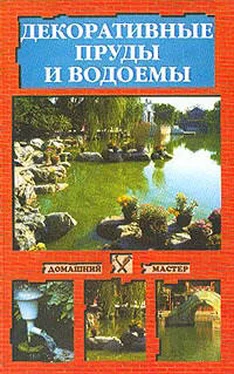 Наталья Иванова Декоративные пруды и водоемы обложка книги