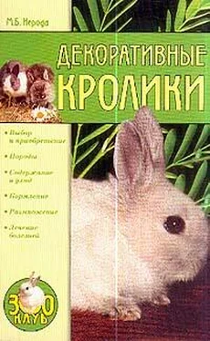 Маргарита Нерода Декоративные кролики обложка книги