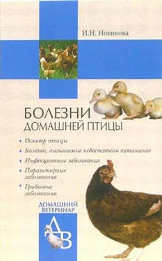 Ирина Новикова Болезни домашней птицы обложка книги
