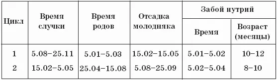 В связи с тем что первую случку проводят в конце года для разведения - фото 30