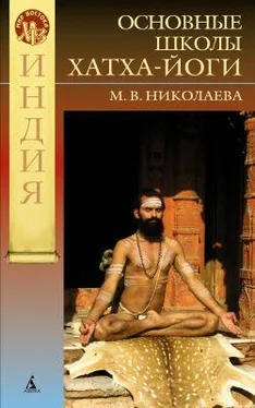 Мария Николаева Философские основания современных школ хатха-йоги обложка книги