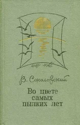 Владимир Соколовский - Мурашов