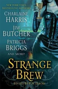 Patricia Briggs Strange Brew обложка книги