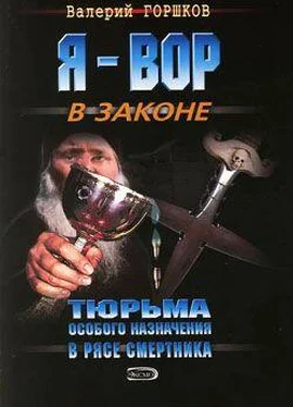 Валерий Горшков В рясе смертника обложка книги