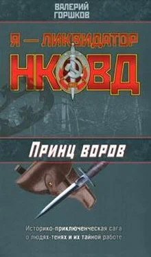 Валерий Горшков Принц воров обложка книги