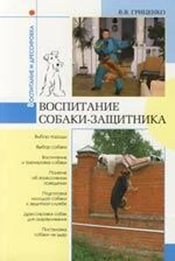 В. Гриценко Воспитание собаки-защитника обложка книги