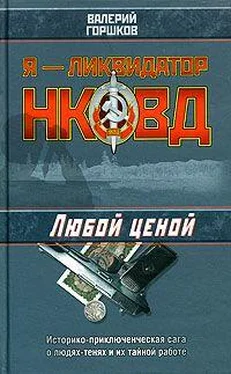 Валерий Горшков Любой ценой обложка книги