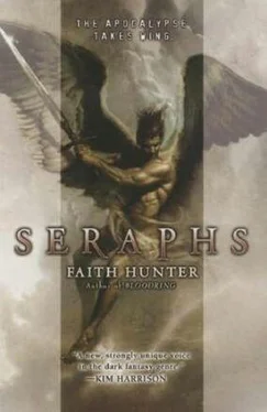 Faith Hunter Seraphs обложка книги