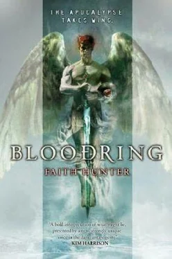 Faith Hunter Bloodring обложка книги
