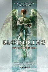 Faith Hunter - Bloodring
