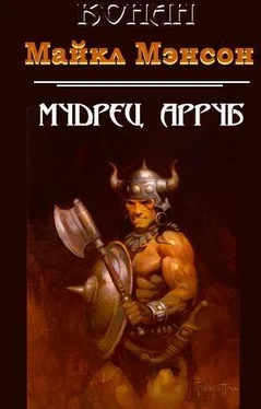 Майкл Мэнсон Мудрец Арруб обложка книги