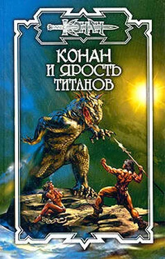 Ник Орли Конан и Ярость титанов обложка книги