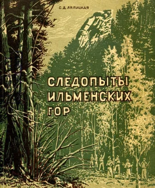 Софья Лялицкая Следопыты Ильменских гор обложка книги