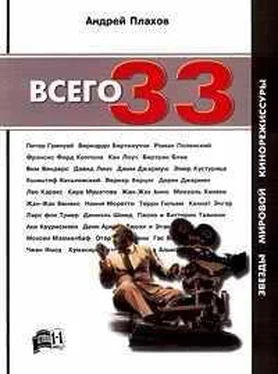 Андрей Плахов Всего 33 Звезды Мировой Кинорежиссуры обложка книги