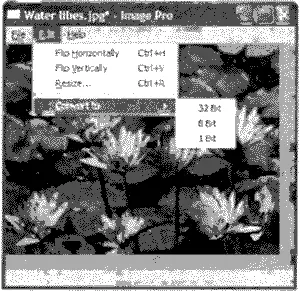 Рис 183 Приложение Image Pro Для иллюстрации работы соединений сигналслот - фото 167