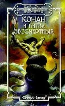 Дункан Мак-Грегор Битва бессмертных обложка книги