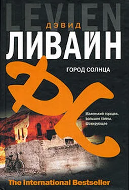 Дэвид Ливайн Город солнца обложка книги