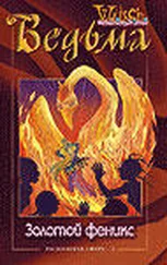 Лене Каабербол - Расколотая Сфера. Том 4. Золотой феникс