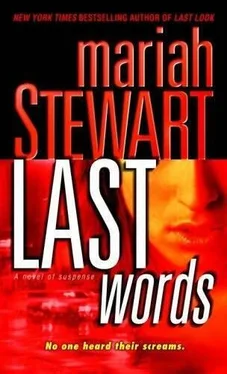 Mariah Stewart Last Words обложка книги