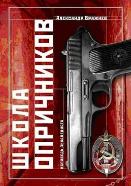 Александр Бражнев Школа опричников обложка книги