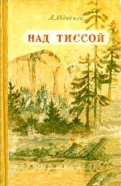 Александр Авдеенко Над Тиссой обложка книги