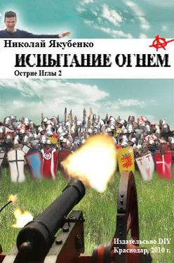 Николай Якубенко Испытание огнем обложка книги