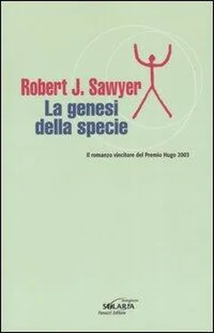 Robert Sawyer La genesi della specie обложка книги