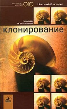 Николай Дягтерев Клонирование: правда и вымысел обложка книги