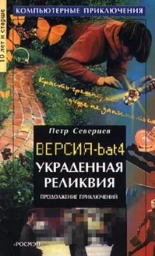 Петр Северцев Украденная реликвия (Компьютерные приключения-4) обложка книги