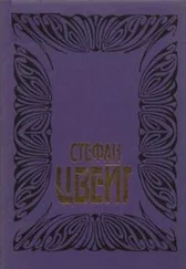 Стефан Цвейг - Том 9 - Триумф и трагедия Эразма Роттердамского; Совесть против насилия - Кастеллио против Кальвина; Америго - Повесть об одной исторической ошибке; Магеллан - Человек и его деяние; Монтень