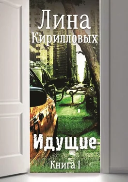 Лина Кирилловых Идущие обложка книги