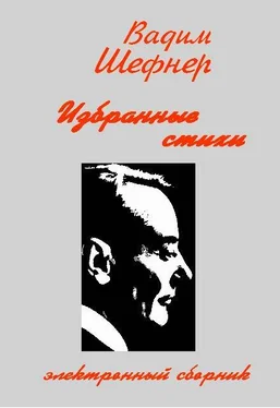 Вадим Шефнер Избранные стихи обложка книги