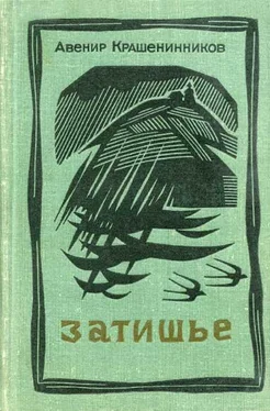 Авенир Крашенинников Затишье обложка книги