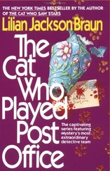 Lilian Braun - The Cat Who Played Post Office