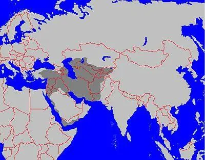Владения туроксельджуков в середине XI века Их первоначальная история - фото 82