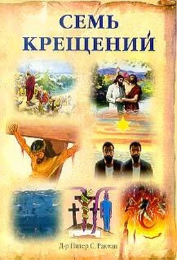 Питер Ракман Семь крещений обложка книги