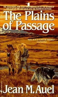 Jean Auel THE PLAINS OF PASSAGE обложка книги