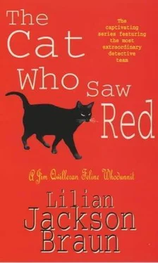 Lilian Braun The Cat Who Saw Red обложка книги