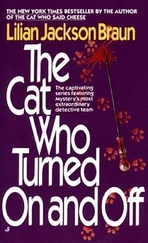 Lilian Braun - The Cat Who Turned On and Off