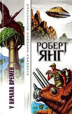 Роберт Янг Летающая сковородка обложка книги