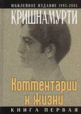 Джидду Кришнамурти Комментарии к жизни. Книга первая обложка книги