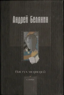 Андрей Белянин Пастух медведей обложка книги