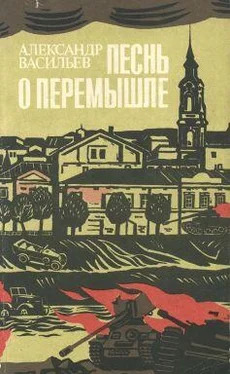 Александр Васильев Прикосновение к огню обложка книги