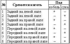 Примечание Если в помете кобельков и сучек более четырех то у кобелька под N9 - фото 2