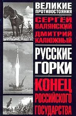 Дмитрий Калюжный Русские горки. Конец Российского государства обложка книги