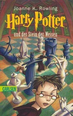 Joanne Rowling Harry Potter und der Stein der Weisen обложка книги