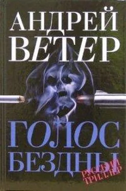 Андрей Ветер Голос бездны обложка книги