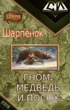 Шарпёнок Гном, медведь и посох. Книга 1-я обложка книги