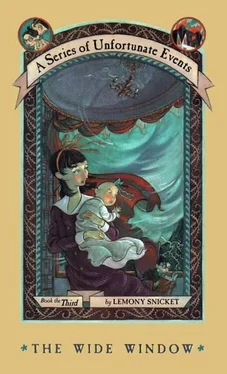 Lemony Snicket The Wide Window обложка книги